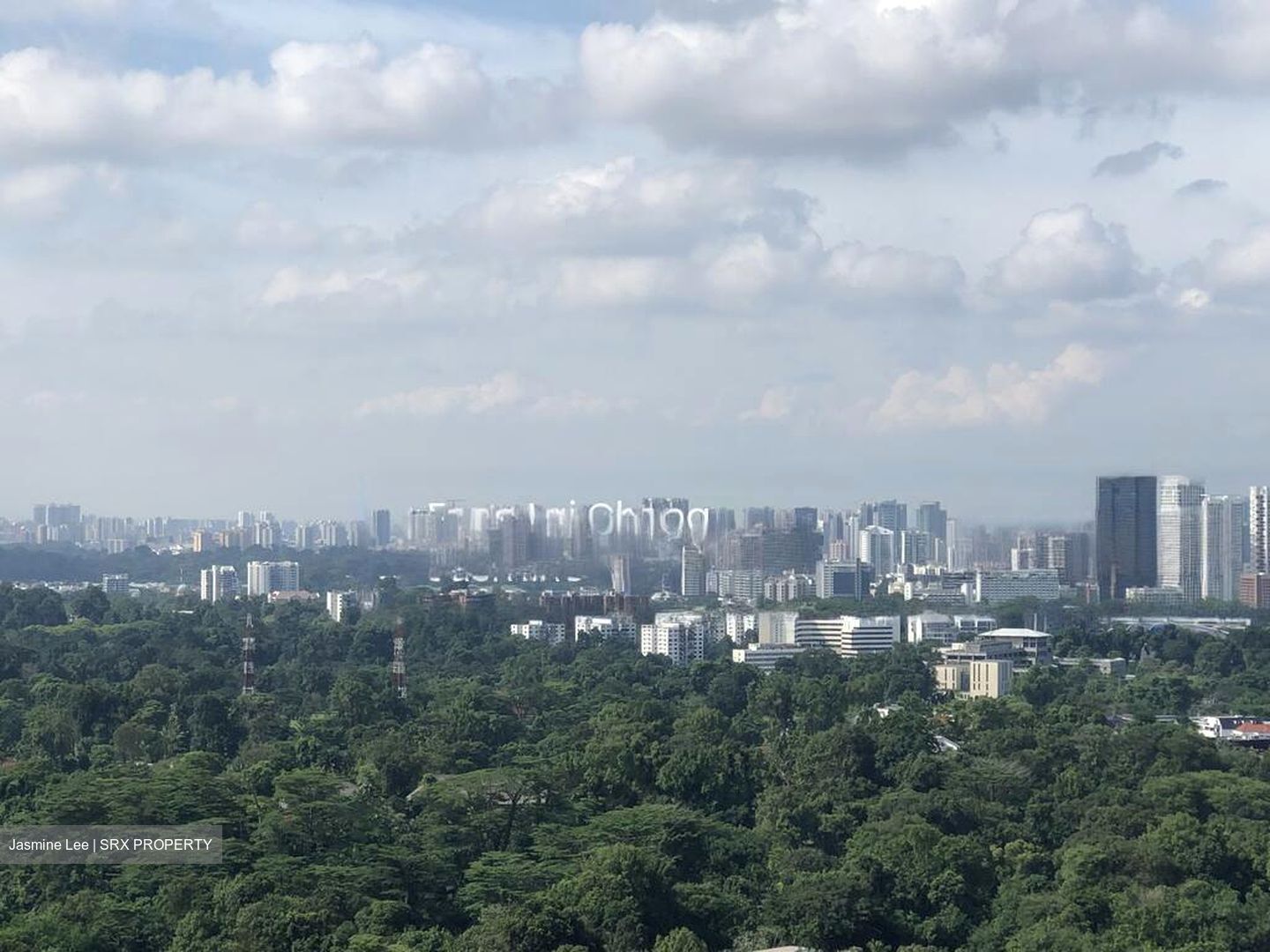 Queens Peak (D3), Condominium #502918151